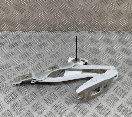 Audi A5 Tailgate/trunk/boot hinge 8F0827301B