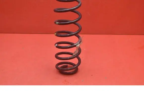 Hyundai Kona I Rear coil spring 