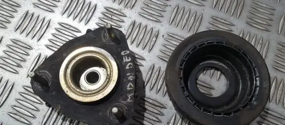 Coil spring mount