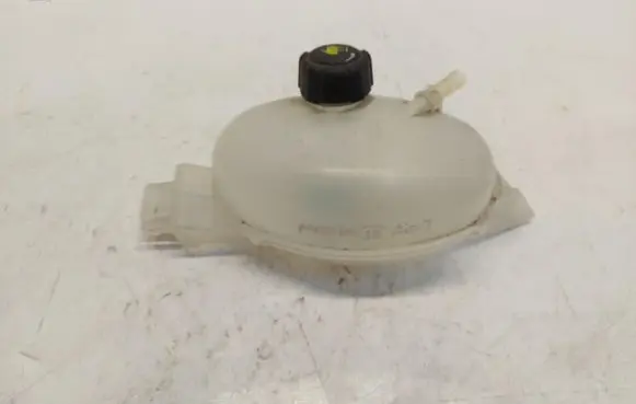 Renault Master III Coolant expansion tank/reservoir 217100015RJLK01