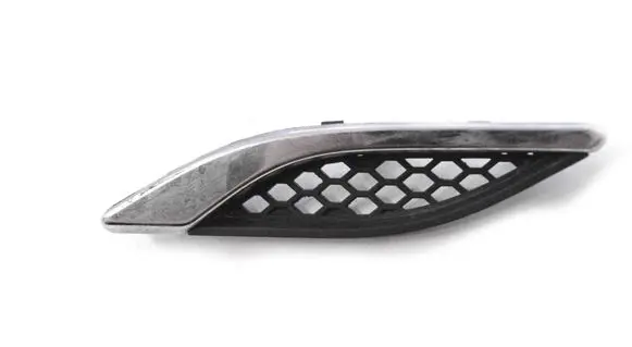 Fender trim (molding)