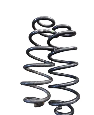Rear coil spring