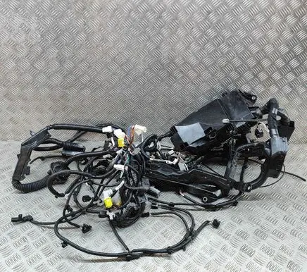 Toyota Sienna XL40 IV Other wiring loom 8266208060 8266208110