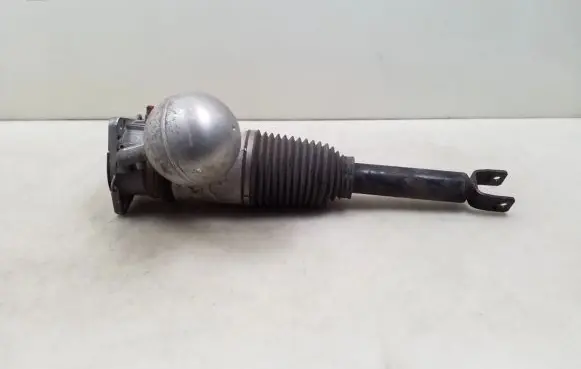 Volkswagen Phaeton Rear shock absorber/damper 3D0616001K