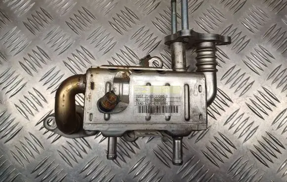 Toyota Urban Cruiser (XP110) EGR valve cooler 2560133060B 13064190004 09020000347