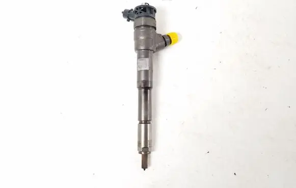 Renault Kangoo II Fuel injector 0445110485