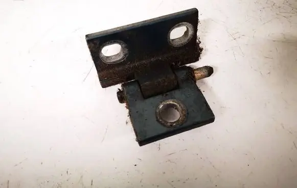 Volvo V70 Rear door lower hinge