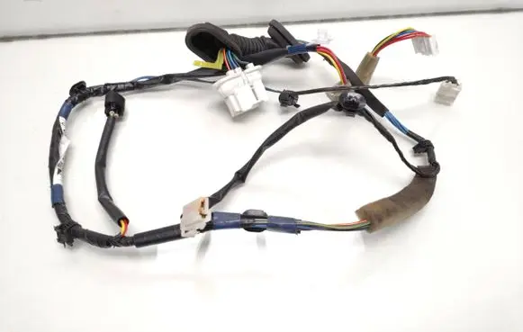 Rear door wiring loom