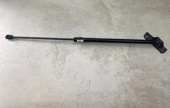 Ford C-MAX II Tailgate/trunk strut/damper AM51R406A10AC