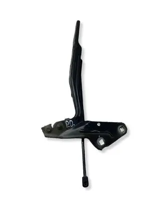 Dodge RAM 1500 DS Engine bonnet/hood hinges 806AB1916C