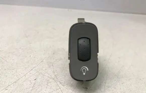 Panel lighting control switch