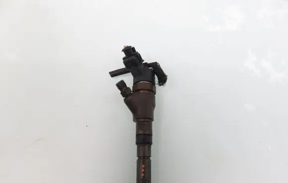 Citroen Xsara Picasso Fuel injector 0445110076 9641742880
