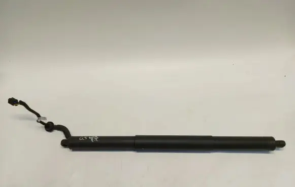 Tailgate strut
