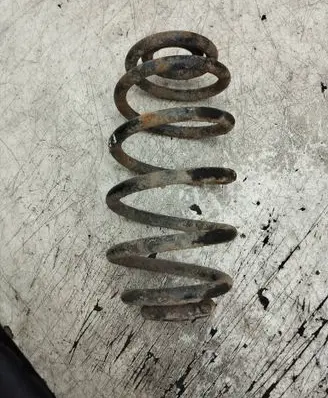 Rear coil spring