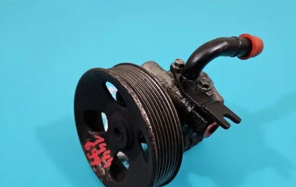Electric power steering pump