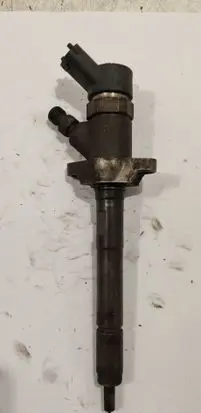 Citroen C5 Fuel injector 0445110259