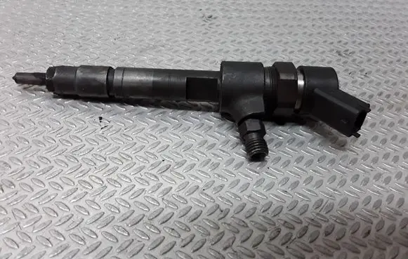 Fiat Multipla Fuel injector 0445110002