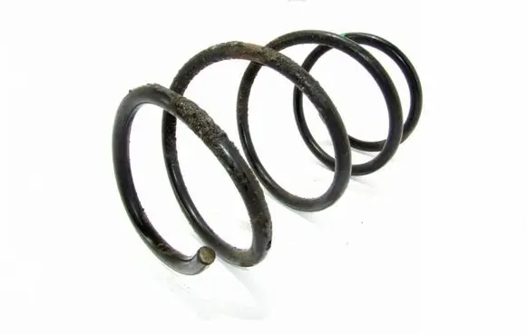 Front coil spring