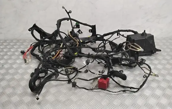 Engine installation wiring loom