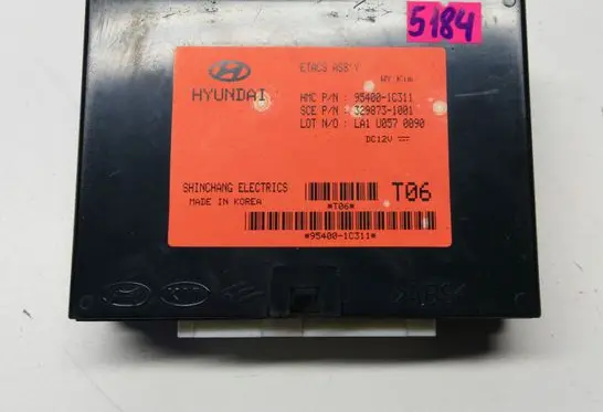 Hyundai Getz Other control units/modules 954001C311