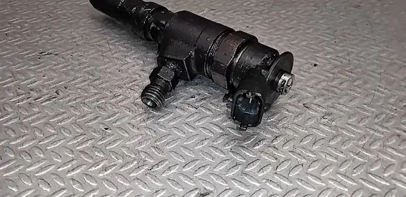 Peugeot 206 Fuel injector 0445110252