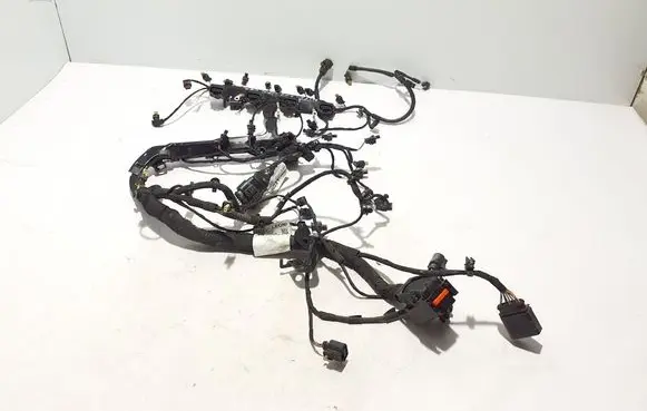 Engine installation wiring loom