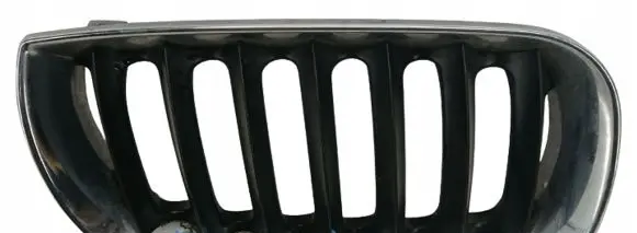 BMW X3 E83 Front grill 51133402910