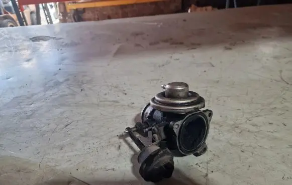 EGR valve