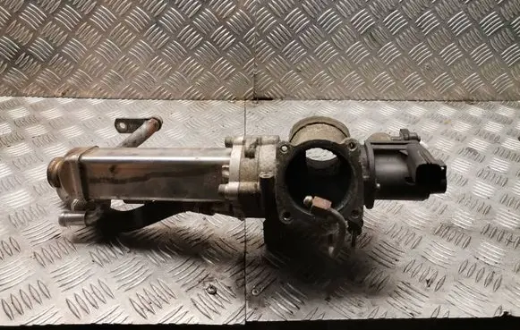 Volvo C30 EGR valve 31219248