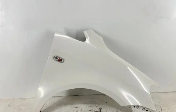 Volkswagen Caddy Fender 1T0821156