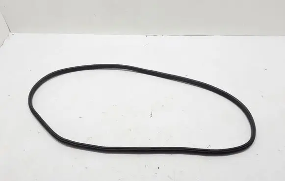 Renault Fluence Rear door rubber seal (on body) 769240022R