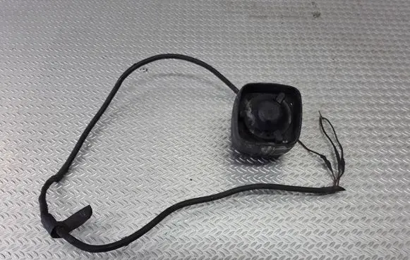 Chrysler Voyager Alarm system siren 