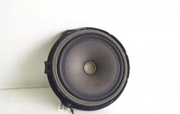 Rear door speaker