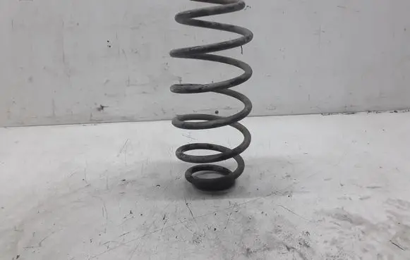 Volkswagen PASSAT B5 Rear coil spring