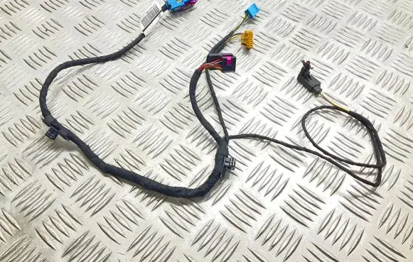 Front door wiring loom