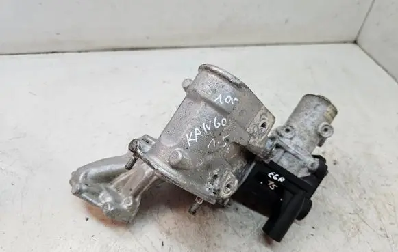 Renault Kangoo II EGR valve 8200282949