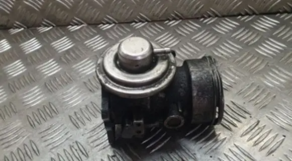 Volkswagen Sharan EGR valve 038131501AA 110202005