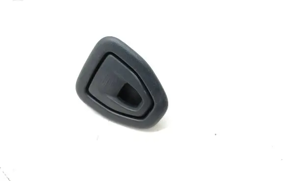 Citroen DS5 Headlining roof cover 9670506577