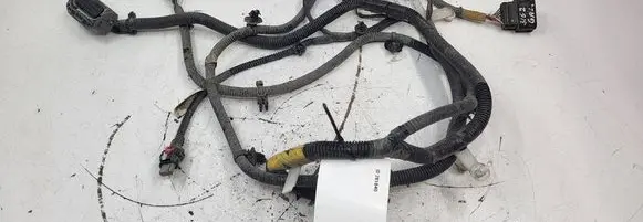 Tesla Model Y Other wiring loom 248905901A