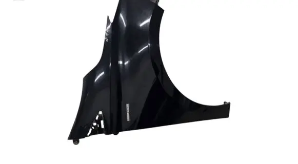 Renault Zoe Fender