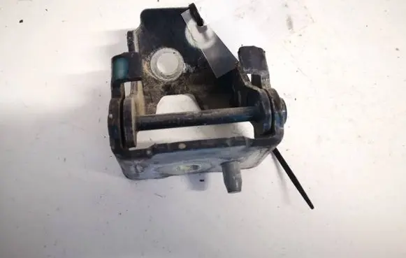 Rear door lower hinge