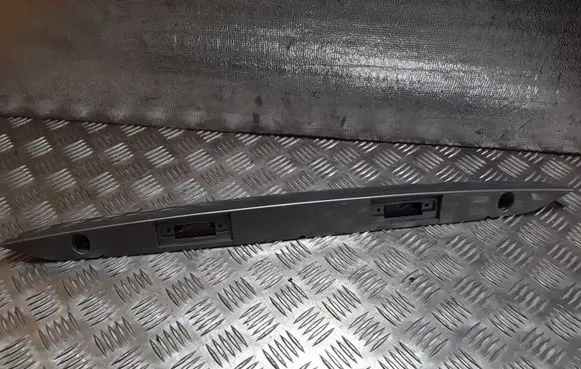 Trunk door license plate light bar