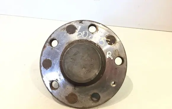 Volkswagen Golf V Rear wheel hub