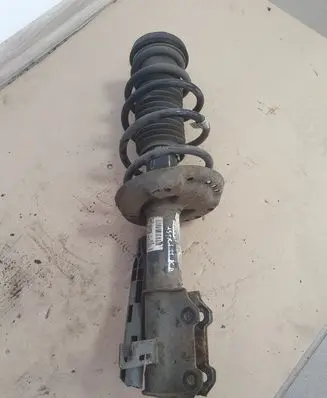 Front shock absorber with coil spring