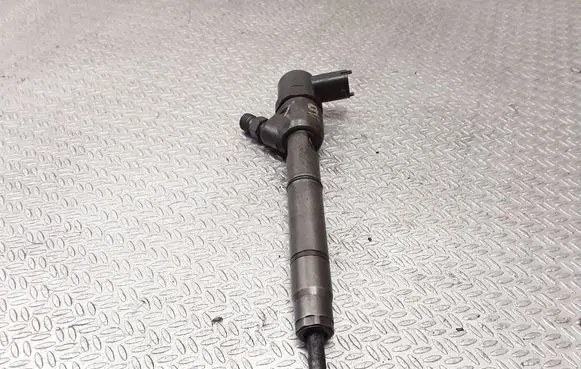 Hyundai i30 Fuel injector 0445110256 338002A400