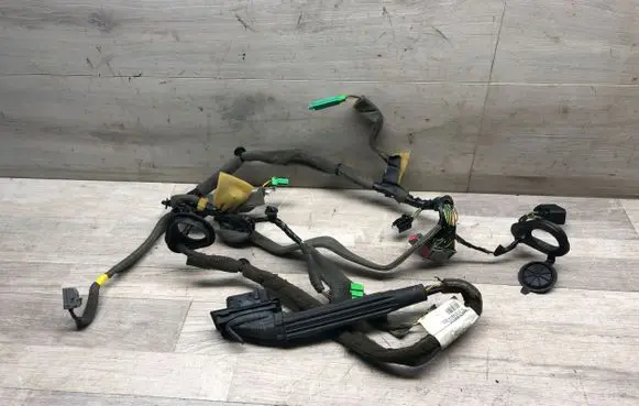 Front door wiring loom