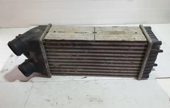 Citroen Xsara Picasso Intercooler radiator 817706