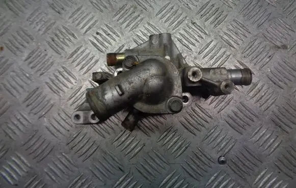 Thermostat/thermostat housing