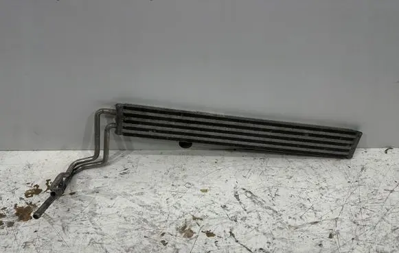 Porsche Cayenne (9PA) Power steering radiator 