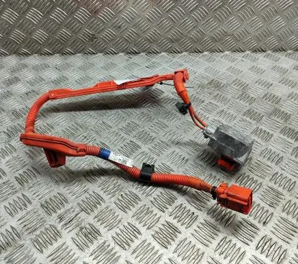 Lexus ES 250 - 300 - 330 Other wiring loom 821H233020